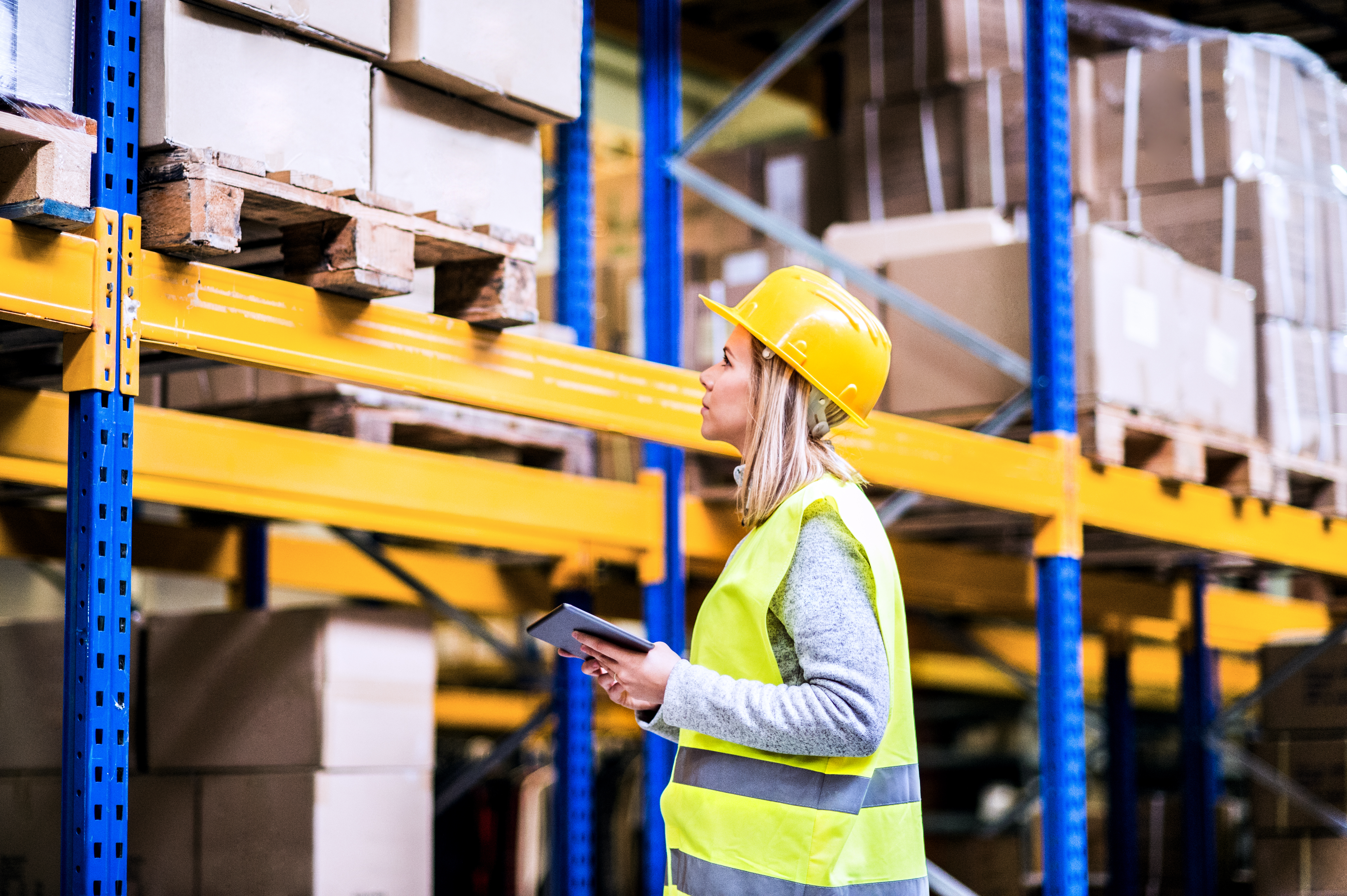 ISO 45001 - Auditor Interno - eLearning