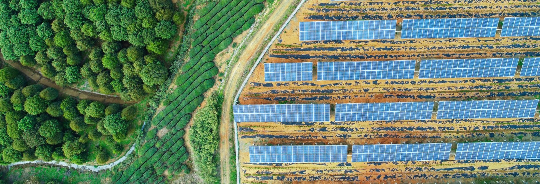 Solar farm