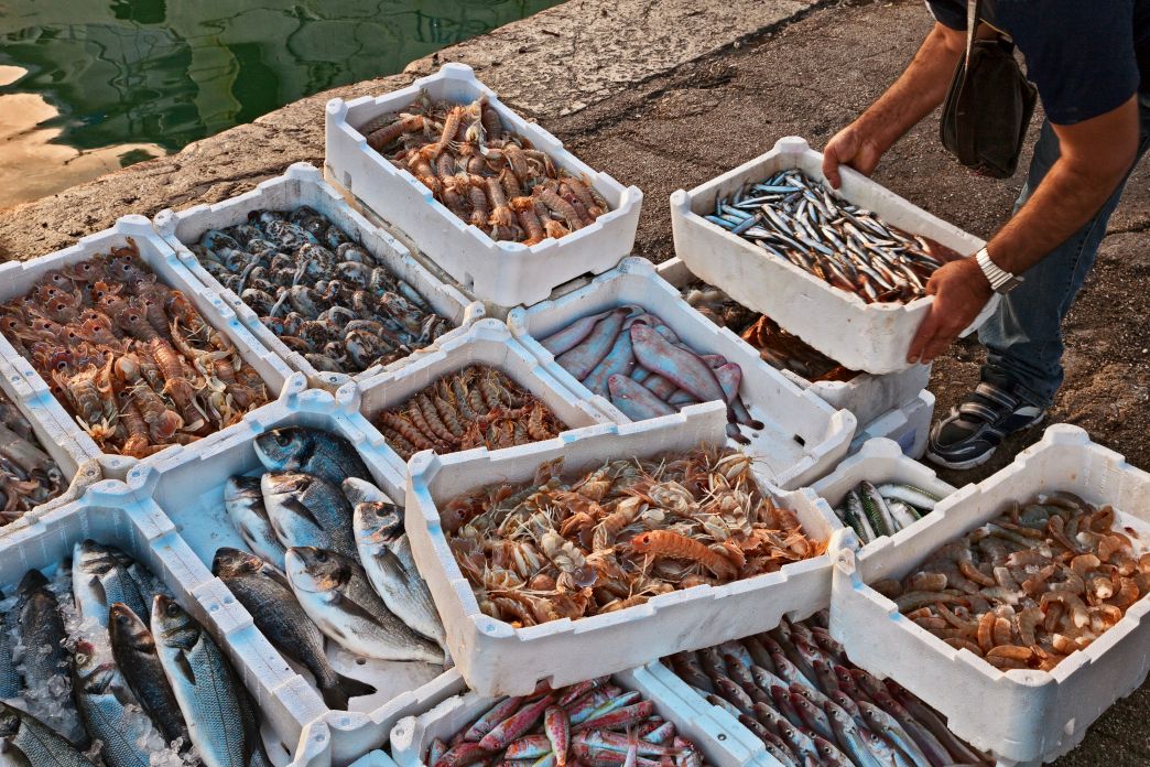 Untangling the complexities in seafood value chains