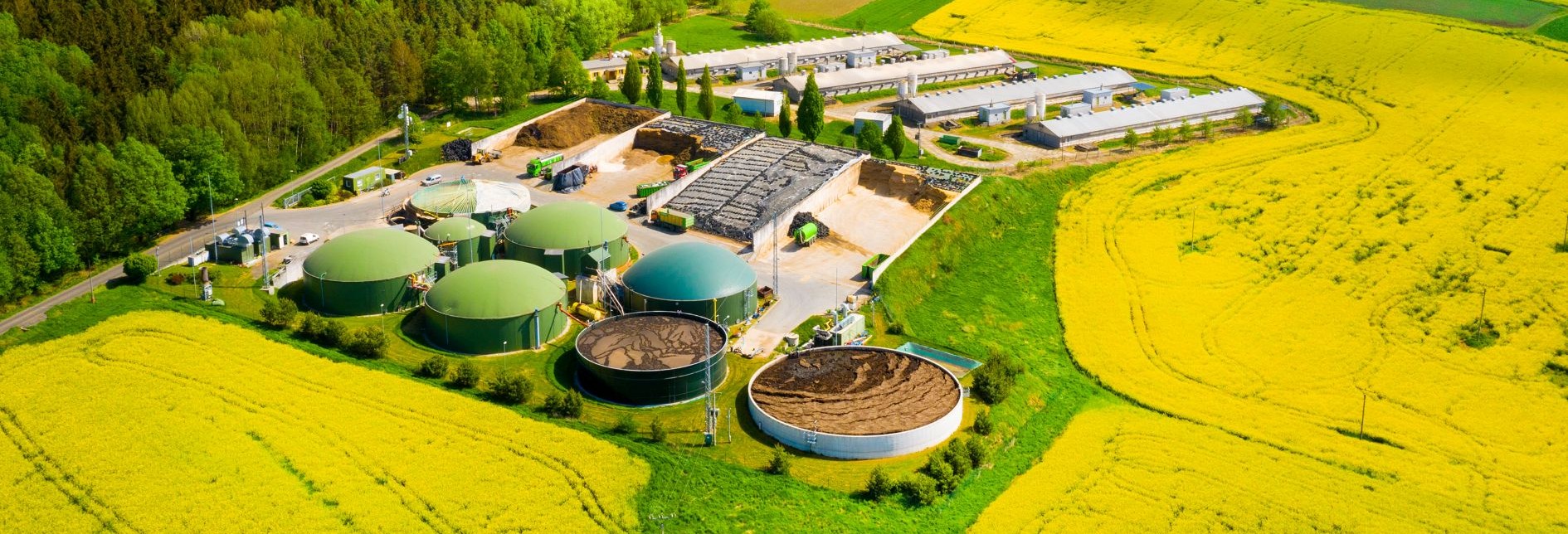 Bioenergy