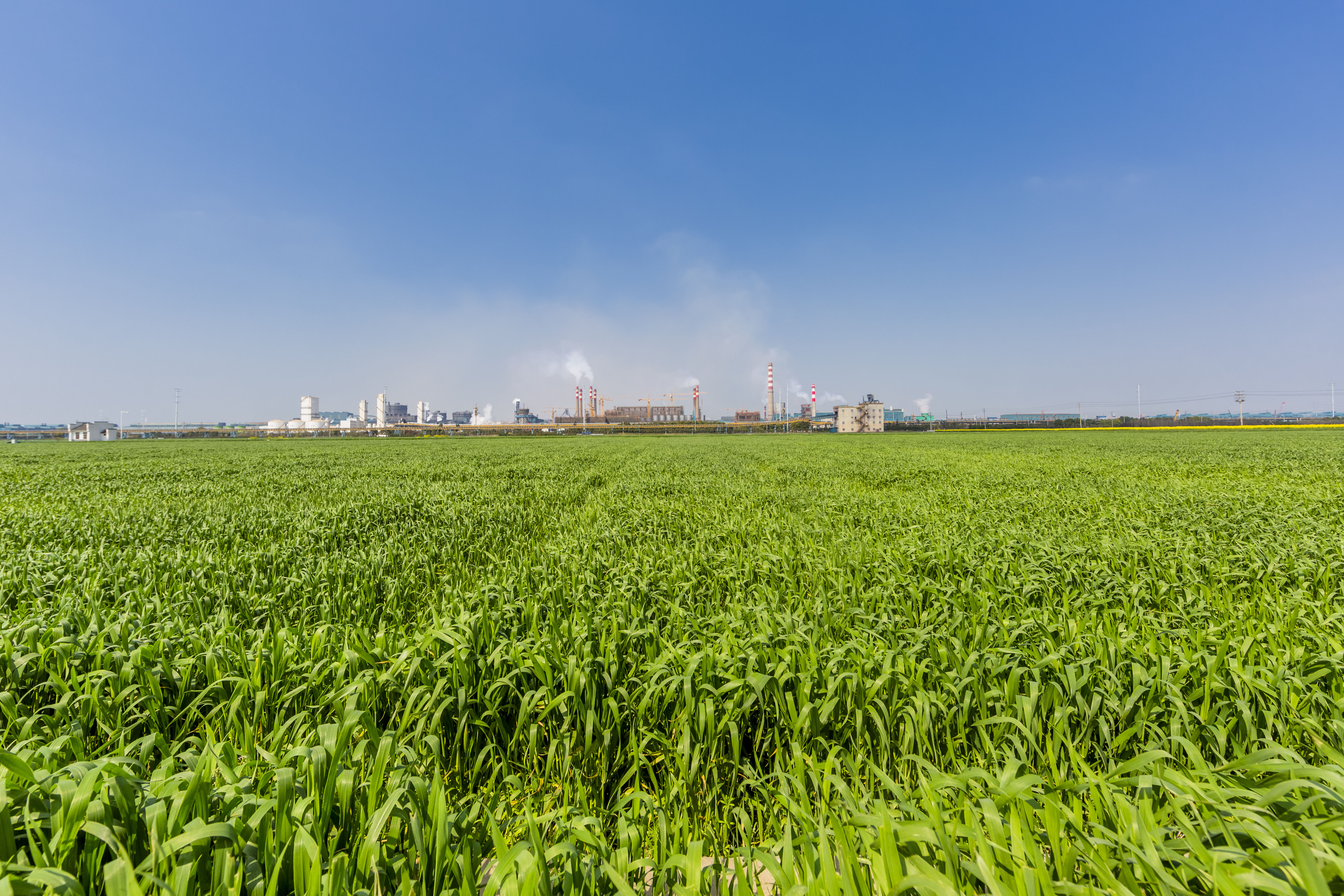 Green field with an industrial zone in the horizon