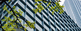 BCS web platform: facility assets technical compliance made simple
