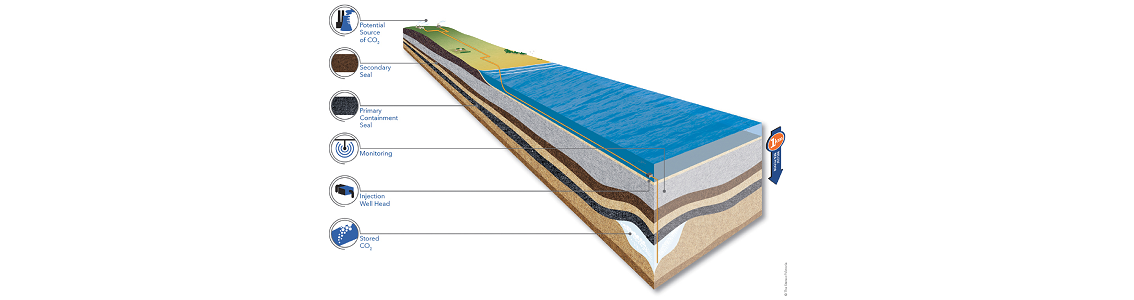 CarbonNet project
