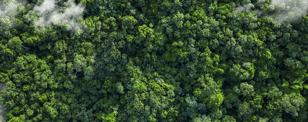 How to start preparing for climate risk disclosures