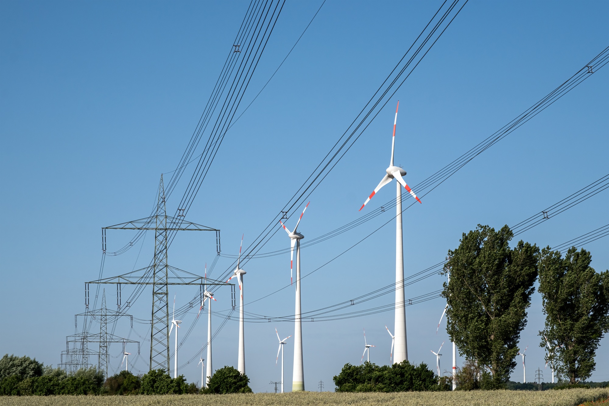 Strategic grid planning for a renewable future