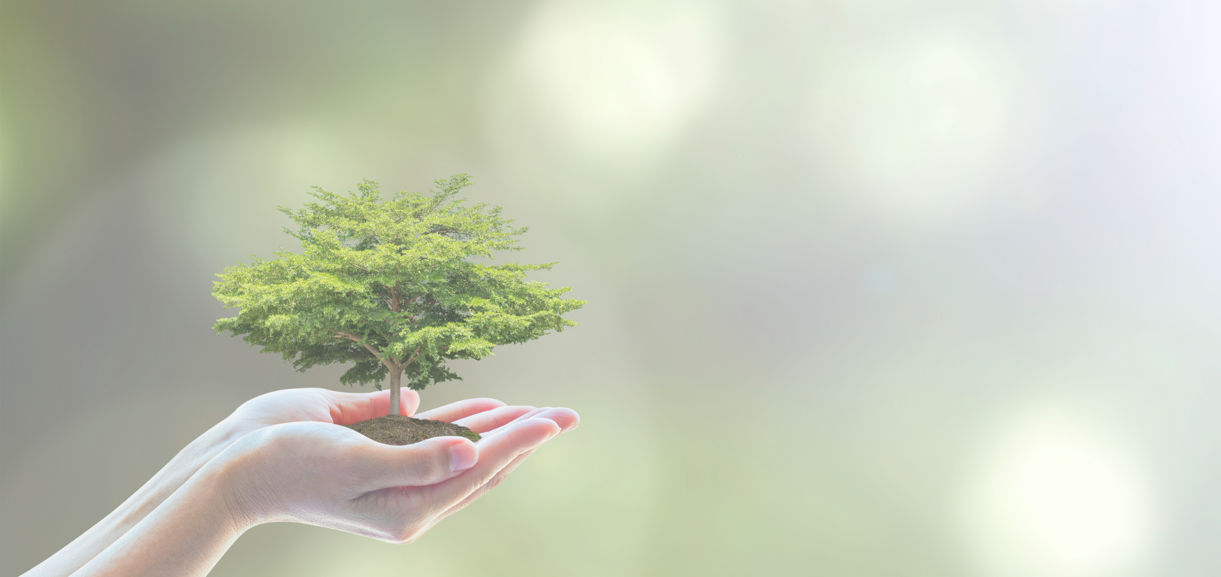 ISO 14001:2026 – Actualizacion: Cambios Clave y Preparación para la Nueva Norma (ISO 14001)