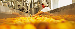 HACCP