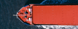 Inspection of records service for ships and MOUs