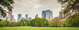 ISO 14001 Certification: Environmental Management