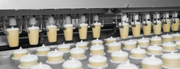 ISO 22000 Certification: Food Safety Management