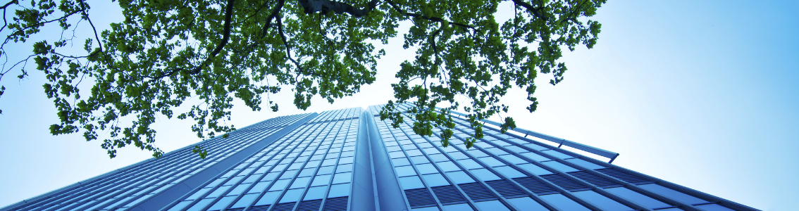 Modern office building and a tree