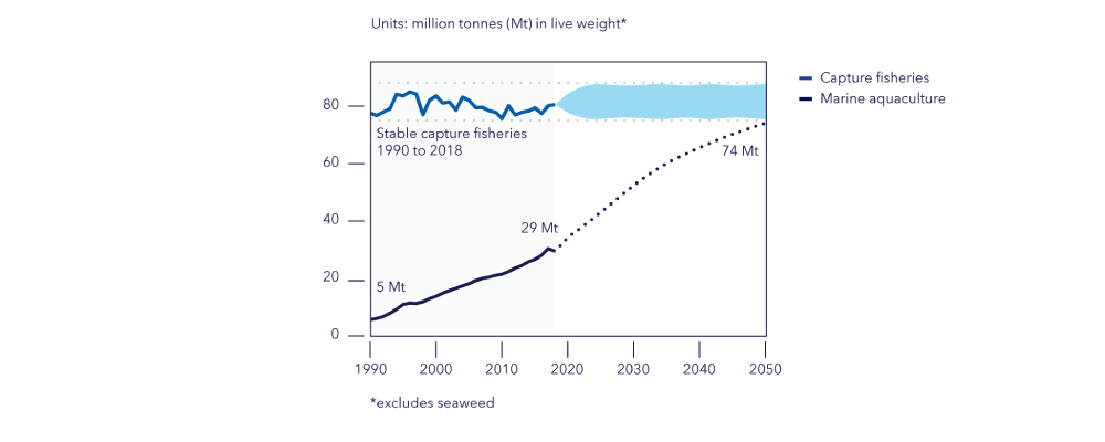 Farmed seafood increasing its contribution to world food supply