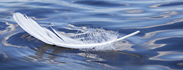 Lightweight structures and composites analysis