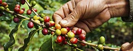 ISO 14064-2 溫室氣體減量專案之確證/查證