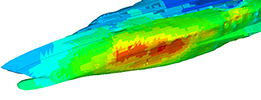Shock analysis