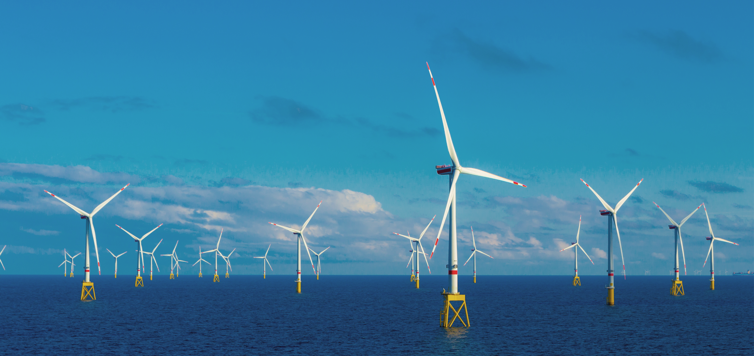 Software for fixed offshore wind