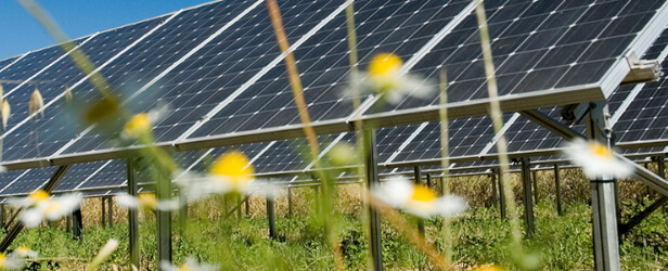 Permit preparation for renewable energy projects