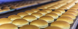 SQF Code – Safety Quality Food Program