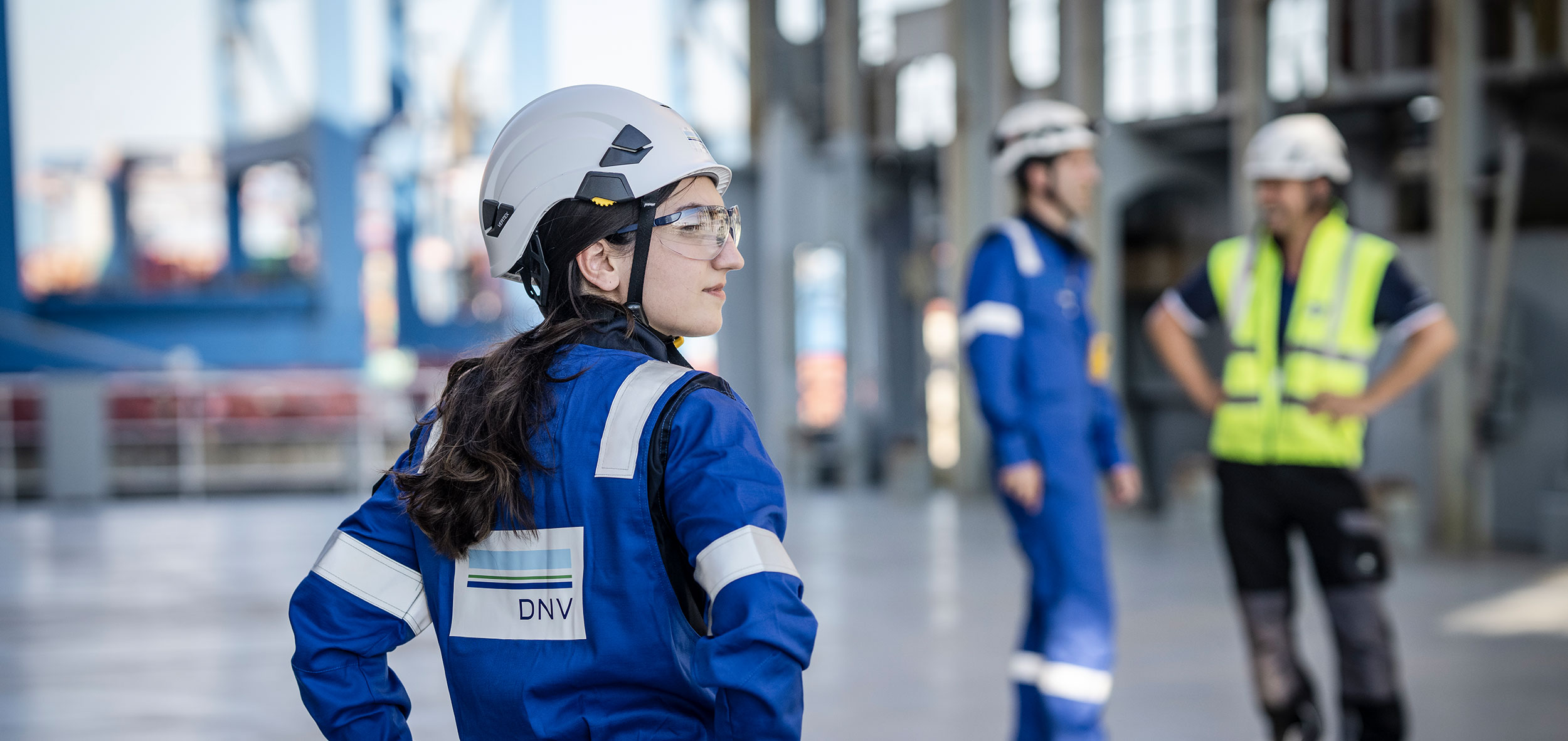 DNV Courses