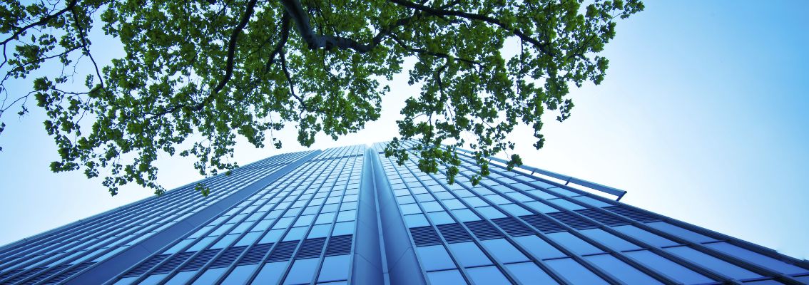 ESG strategy to promote sustainability