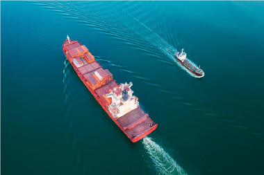 Download the full article